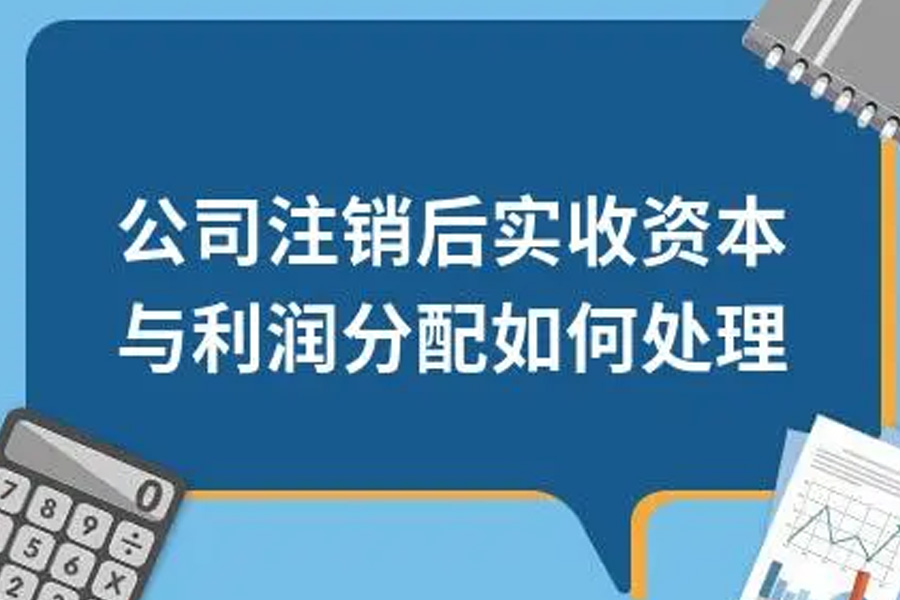 分公司注销时有未分配利润怎么办：详解注销策略及未分配利润处理