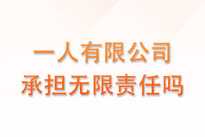 一人有限公司承担无限责任吗